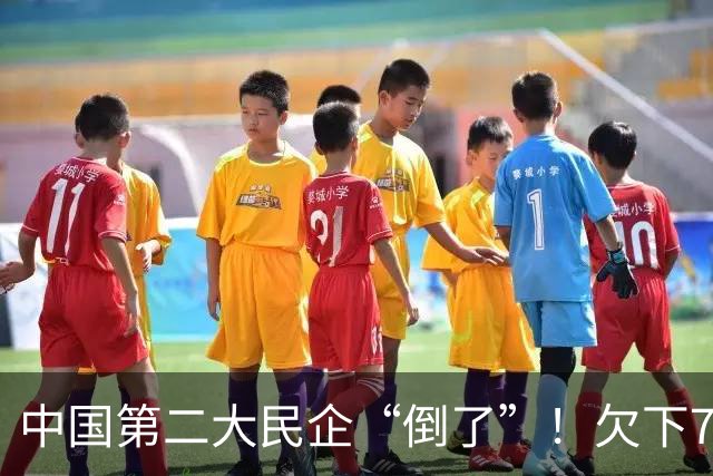 中国第二大民企“倒了”！欠下7500亿巨债，创始人被抓股权清零